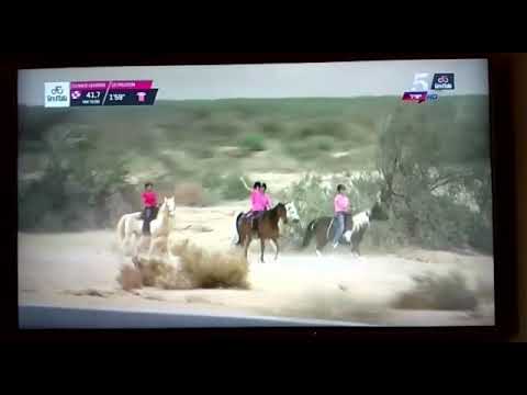 Giro D‘Italia 2018 - Israel - long version of Ein Radian horses in Yotvata