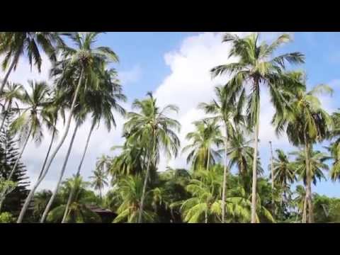 Шриланка. Что посмотреть