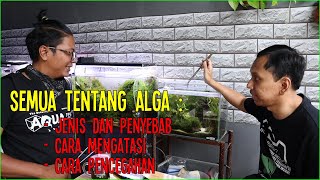 Kupas Tuntas Bahas Alga Bareng Dino Noerdiyansyah - Aquair Indonesia