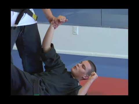 How to Use a Jujutsu Osoto Gari Throw to Counter a Punch