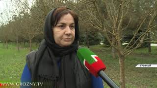 Чечня вошла в список самых экологичных регионов России 