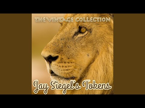 Tonight I Fell In Love