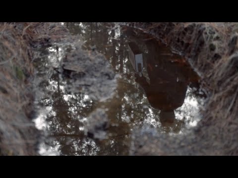 VdR2020 | Carte Blanche | Francisco Bermejo | The Other One
