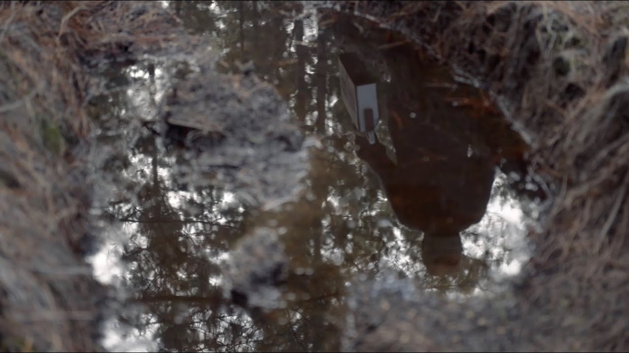 VdR2020 | Carte Blanche | Francisco Bermejo | The Other One