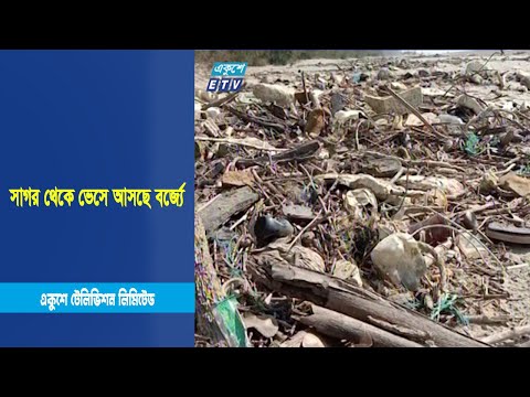 সাগর থেকে ভেসে আসছে বর্জ্যে; হুমকিতে জীববৈচিত্র্য