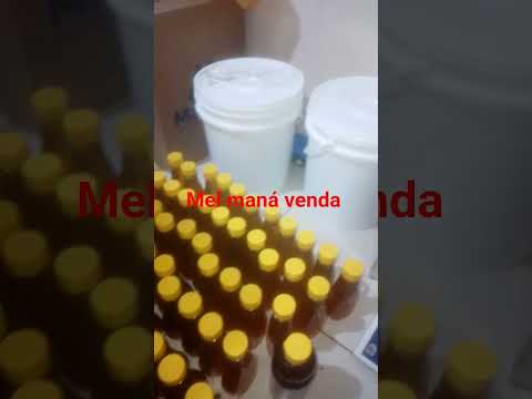 apiario maná utinga Bahia Chapada Diamantina