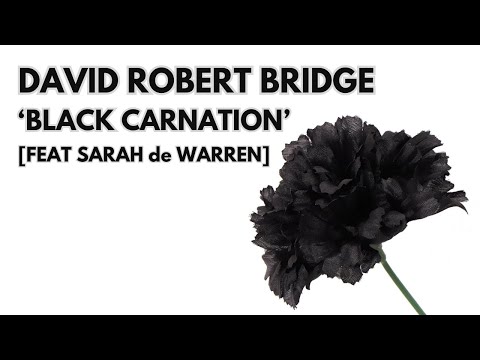 DAVID ROBERT BRIDGE - BLACK CARNATION [FEAT. SARAH DE WARREN]]