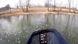preview picture of video 'Fly fishing for Rainbow Trout in Brookville,IN.'