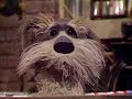 Fraggle Rock S01e10 Remastered Bdrip X264 Sprinter