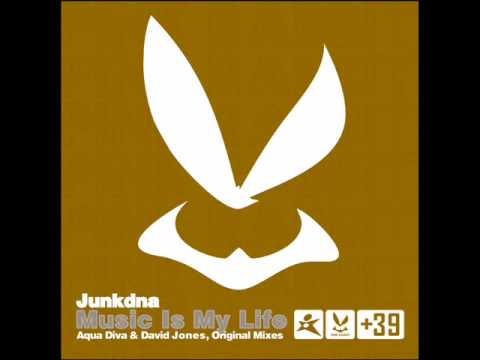 junkdna ft vladi - music is my life -dancefloor rmx.avi