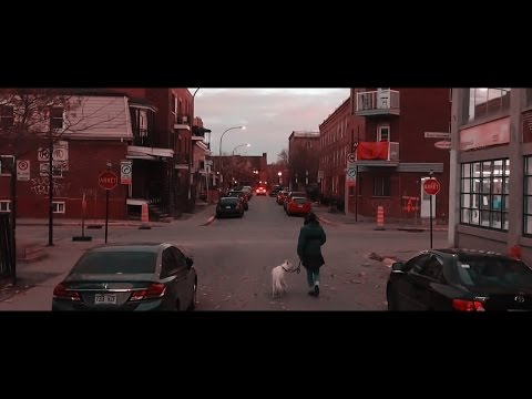 David Campana | Stay Honest | Official Movie | ( Prod. by Nick Mira )