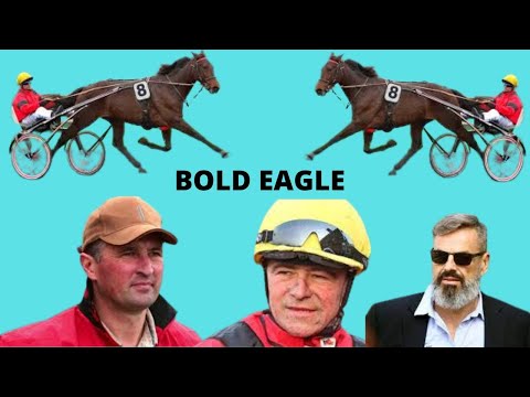 06 BOLD EAGLE   PRIX D'AMERIQUE 2017   VINCENNES   YouTube 360p