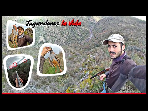 PERDICES SALVAJES en Acantilados😲🔥¡CAZA EXTREMA y de Vértigo!🔥😲 2023