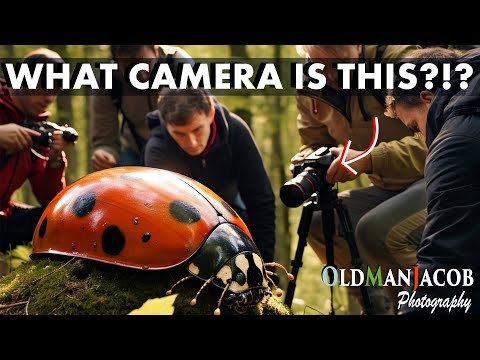 Gear you NEED for Macro Photography! The Complete Guide to Macro Photography Part 2