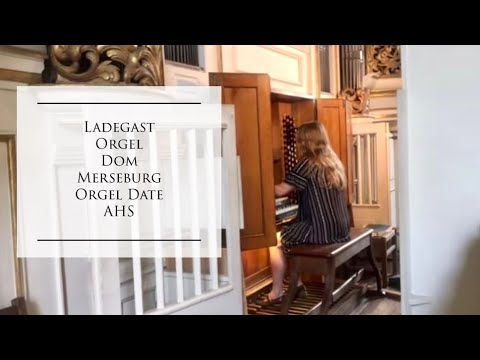 Ladegast Orgel Merseburg Dom - Orgel Vlog AHS - Aeoline, Sperrventile, Rückpositiv, Schweller, Rabe