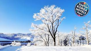 Sokcho Ulsanbawi Bed and Breakfast | Sokcho-si, South Korea | Hotel Review 🌟