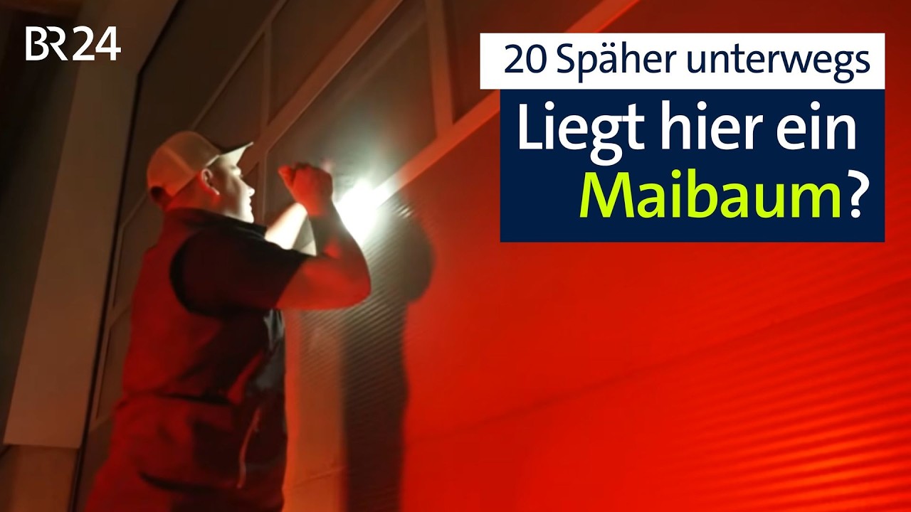 Rekord bei Maibaumklau: Sie wollen mehr als sechs Bäume stehlen | Abendschau | BR24