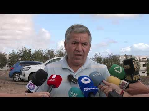 Suelta de pardelas en Fuerteventura para proteger la especie cenicienta