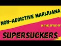 SUPERSUCKERS - NON-ADDICTIVE MARIJUANA - KARAOKE VERSION INSTRUMENTAL