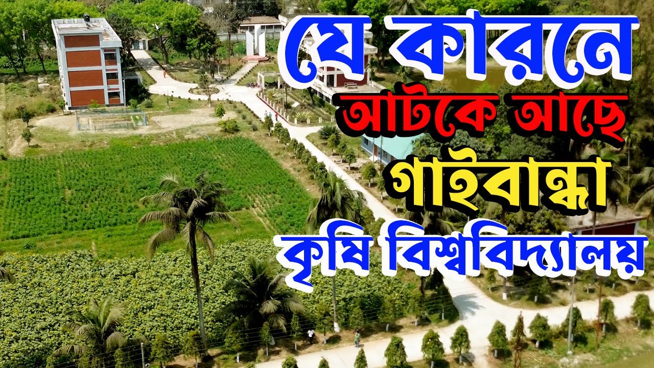 সরকার চাইলেই গাইবান্ধার এটিআই হতে পারে কৃষি বিশ্ববদ্যালয়