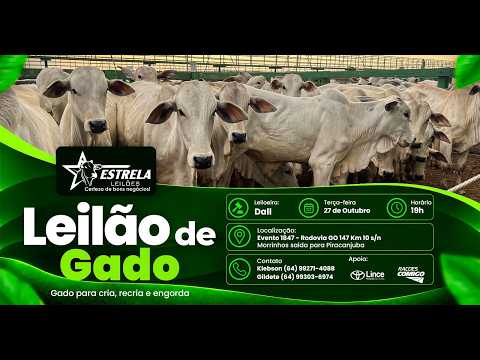 ESTRELA LEILÕES  - AO VIVO - 27/10/2026  -  19H - MORRINHOS - GOIÁS