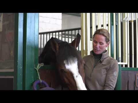 CASHMERE von Cristallo I - Contender