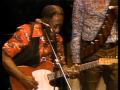 Muddy Waters - They Call Me Muddy Waters - ChicagoFest 1981