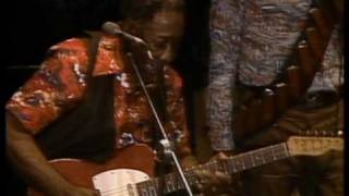 Muddy Waters - They Call Me Muddy Waters - ChicagoFest 1981