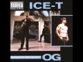 Ice-T- Straight Up Nigga (feat. DJ Aladdin)