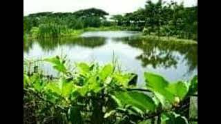 Download lagu Tiada seindah hari ini - Retno mp3