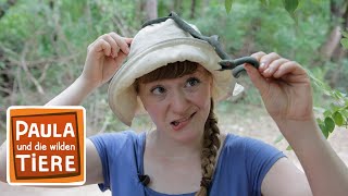 Download lagu Vorsicht, Schlange! | Reportage für Kinder | Paula und die wilden Tiere mp3