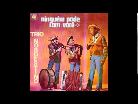 Já Faz Tempo Não Lhe Vejo - Trio Nordestino