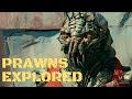 Prawns and District 9: Our Best Worst Allegory