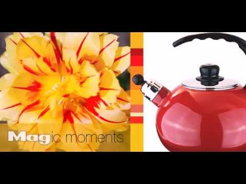 download lagu mp3 mp4 Magefesa Usa, download lagu Magefesa Usa gratis, unduh video klip Magefesa Usa