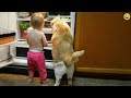 Funny ANIMALS videos😊Funniest CATS😹 and DOGS🐶 2024