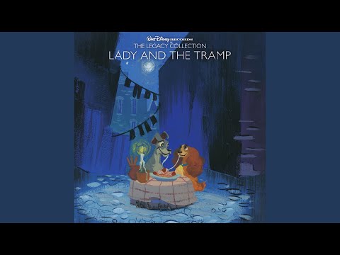 In the Doghouse/The Rat Returns/Falsely Accused/We've Got to Stop That Wagon/Trusty's Sacrifice