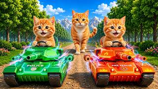 Mama Cat Trims Fur on the Farm and Makes Tiger Hat For Kittens At Home