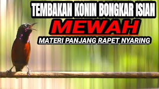 Download lagu TEMBAKAN BURUNG KONIN FULL ISIAN MEWAH AMPUH BUAT MASTERAN KOLIBRI NINJA mp3 Download lagu TEMBAKAN BURUNG KONIN FULL ISIAN MEWAH AMPUH BUAT MASTERAN KOLIBRI NINJA mp3