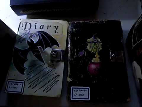 Teenage Journal Ramble pt. 01 ❤