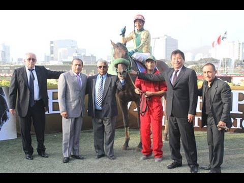 LOLO FOREVER - Clásico OSAF (Gr.II) -- 1,600 Mts.