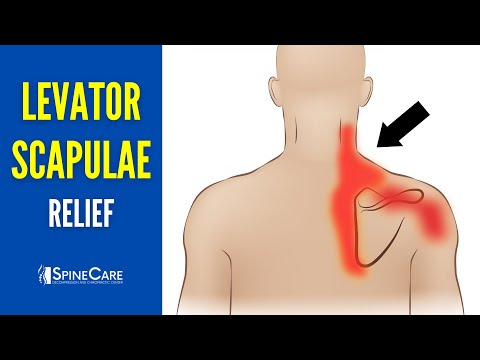 How to INSTANTLY Relieve Levator Scapulae Pain