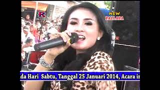 Download lagu Pesona - Ani Arlita - New Pallapa Pelem Watu Menganti Gresik 25 Januari 2014 mp3