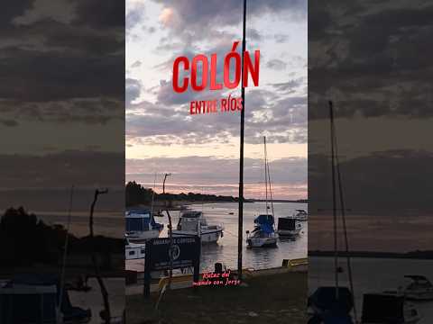 Atardecer en el Paraíso (Phill Collins). Colón - Entre Ríos #viral #shortvideo #musica #shorts
