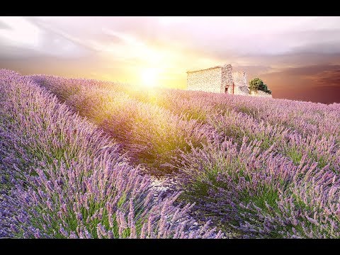 GOOD MORNING MUSIC | Boost Positive Energy | 528Hz  Wake Up Music - A Beautiful Day  - A Magical day