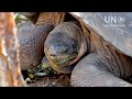 Galapagos Eco Airport