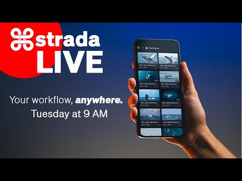 Strada Spotlight: SOMETHING NEW