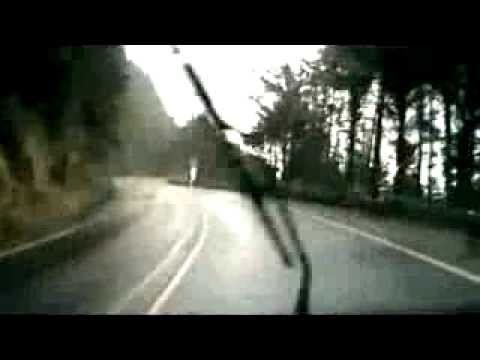 The Wind Blows Wild video
