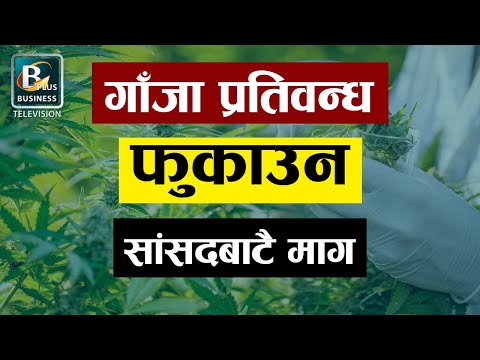 यूएनसीएनडीले गाँजामाथीको प्रतिवन्ध हटाएर अचुक औषधिको बोटका रुपमा परिभाषित