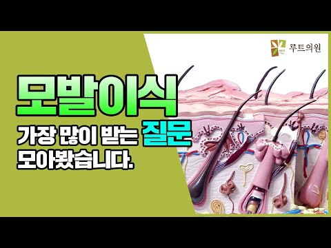 모발이식 가장 많이 받는 질문 모아봤습니다.