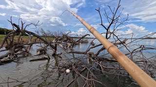 Pescaria de tucunaré na varinha de bambu e bóia usando lambari vivo achei os gigantes Rio grande 